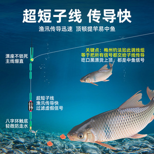 Nouvelle hameçon double Kanto 8cm en Dyneema à dégagement rapide pour la pêche à la carpe, à la truite, au bar et au poisson-chat en eau douce - Product Image 2