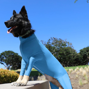 Ropa para Mascotas de Poliéster Elástico de Color Sólido, Todo Incluido, para Gatos y Perros, de Cuatro Patas, para Otoño e Invierno - Product Image 3