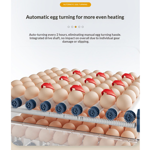 64/100/128/192/200/256/300/400Egg <b>Incubators</b> Small Smart Manufacturers Sell <b>Egg</b> <b>Incubators</b> Directly - Product Image 5