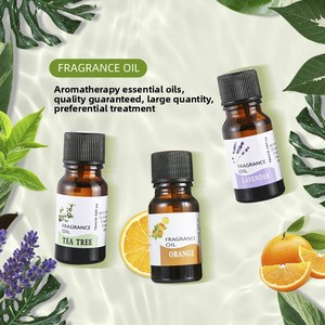 Oli Essenziali Aromaterapici Idrosolubili in Bottiglia Cilindrica per Purificazione dell'Aria in Camera da Letto; <span class=keywords><strong>Olio</strong></span> <span class=keywords><strong>di</strong></span> <span class=keywords><strong>Eucalipto</strong></span> e Menta Piperita Senza Fumo - Product Image 2