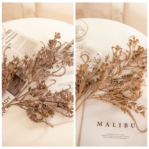 Feuilles de cyprès séchées CallaFloral, fleurs artificielles, beige café, décorations de mariage, bouquets faits main, commerce électronique transfrontalier - Product Image 3