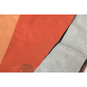 Sacs en papier enduit écologiques ChangLing imperméables avec poignée pour la protection des arbres fruitiers (vigne et mangue) (Origine Anhui) - Product Image 3