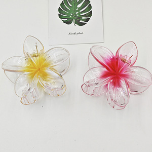 Pinzas para <span class=keywords><strong>el</strong></span> Cabello de Estilo Europeo y Americano Dulce Plateadas, Ganchos para <span class=keywords><strong>el</strong></span> Cabello de Princesa, Pinza de Tiburón Pequeña y Hueca, Accesorios para <span class=keywords><strong>el</strong></span> Cabello para Mujeres - Product Image 4