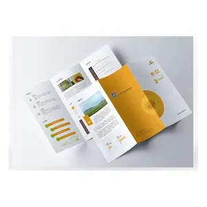 Aangepaste En Goedkopere Prijs Drievoudig Gevouwen Folders Boekje Brochure