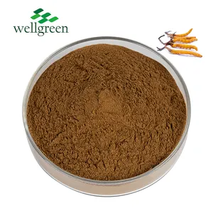 공장 공급 업체 최고 품질 건강 Cordycepin 1% 30% Cordyceps sinensis 추출물 분말