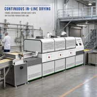 Industriële magnetrondroger met continue band, fabrieks prijs, voor fruitverwerking