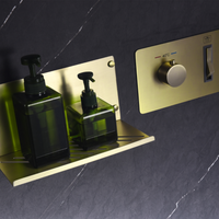 Ensemble de robinetterie de douche thermostatique à double poignée avec finition nickel brossé encastré et jet noir poli pour installation en salle de bain