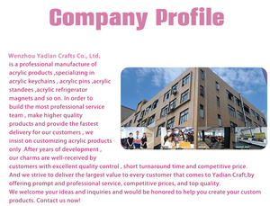 Premium akrilik kendinden ayakta vitrin rafı, zarif işçilik, hatıra özelleştirilmiş olay öğeleri için DIY tasarım - Product Image 3