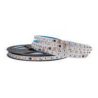 Bande LED à pixels adressables SMD5050 RGBW DC36V 72 LED par mètre 10 mm IP20 IP65 IP67 pour éclairage architectural et scénique