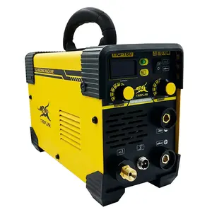 Soldador portátil econômico mini tig 220V ou 110V Mma/Tig 2 em 1 máquina de solda Kaynak Makinasi a gás