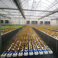 Système hydroponique de culture de légumes d'intérieur, serre verte pour la culture des tomates,