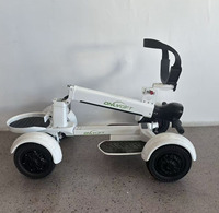 Loyal Electric, le dernier scooter électrique pliable de 2000 W à quatre roues de 10 pouces pour chariot de golf extérieur