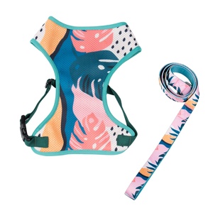 2022 Drucken <span class=keywords><strong>Pet</strong></span> Vest Custom Mesh Futter Hunde geschirr Set mit passender Leine - Product Image 1