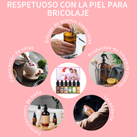 Huile Essentielle 100% Pure Naturelle Fraîche Pivoine Aromathérapie Cadeau 10ml Lot de 6 Huiles pour Diffuseur Humidificateur Savon Bougie Parfum