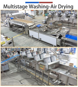 Línea de Limpieza de Frutas y Verduras Fengxiang Design para Procesamiento de Alimentos, Máquina Comercial de Lavado y Secado por Ventilación de Frutas y Verduras - Product Image 6