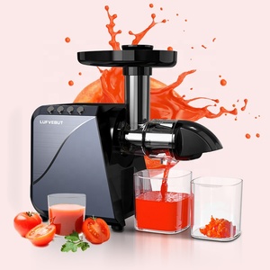 High Quality Cold Press Juicer Machine BPA Free for Carrot Lemon Fruit and Vegetables - Product Image 1
