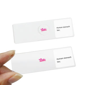 Menschlicher Magen Sec. Folie Medizinisches Labor Biologie Bildungs rutsche Human Histological Microscope Prepared Slide - Product Image 4