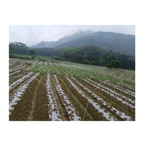 Haoli Kleine Boog Schuur Beugel Massief Glasvezel Staaf Kas Landbouw Agrarische Groente Kas Skelet - Product Image 4