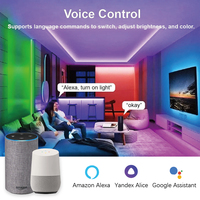 Millionltd Tuya Smart Zigbee Mesh WS2811 Tira LED RGBIC de 1024 píxeles Control remoto de música de 4 zonas Corriente de salida 8A