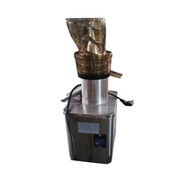 SURRI Hoge Sapsafgifte Voedselveilige 1000W Motor Shop Kleine Sinaasappel Watermeloen Citroen Granaatappel Appel Fruitpers