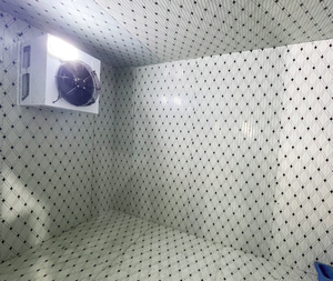 EMTH-Refroidisseur domestique commercial pour congélateur <span class=keywords><strong>Camara</strong></span> Fria préfabriqué avec porte à charnière froide-<span class=keywords><strong>Magasin</strong></span> de refroidissement - Product Image 3