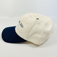 2024 nuevo estilo dos tonos Color PANA papá sombrero 6 paneles sombreros algodón papá sombrero gorras de béisbol hombres fabricante personalizado deporte papá gorra