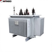 Transformador de Potencia Sumergido en Aceite Wanbo-219, Alta Eficiencia, Baja Pérdida, Bobinado de Cobre, Estándar IEC, OEM Disponible