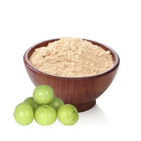 Poudre d'Amla, extrait végétal solvanté, qualité alimentaire, pour le renforcement des cheveux, le soin du cuir chevelu, la prévention de la chute de cheveux, l'éclat de la peau et du visage