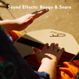 Gecko SD6 Boîte à <span class=keywords><strong>Cajon</strong></span> Polygonale Personnalisée Tambour Instrument de Musique Fait Main Bois <span class=keywords><strong>Percussion</strong></span> Voyage Portable Tambour Avec Sac De Rangement - Product Image 3