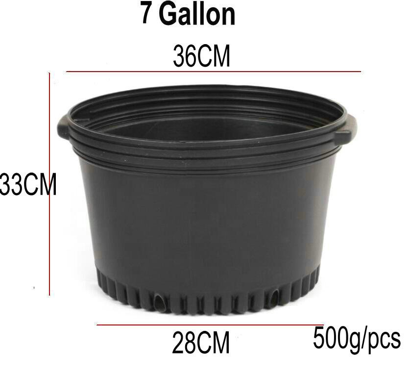 7 gallon