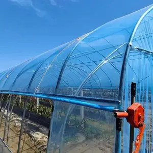 Blauwe Broeikasfolie Plastic Folie Uv-Resistente Plantenbedekking Pp-Huisfilm Voor Tuinlandbouw