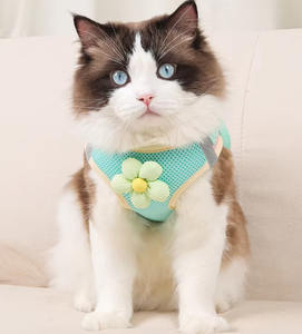 2025 הסיטונאי Fe סיטוני מחמד לרתום אפוד רעיית חתול לכלבים קטנים עיצוב הליכה - Product Image 1