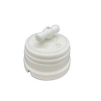 Interrupteurs rotatifs en céramique de porcelaine murale de style rétro, durables pour une utilisation domestique, blanc, max 10A 250V