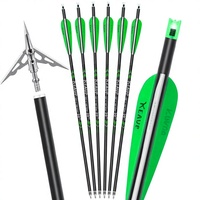 Lot de 6 flèches de carabine à poulies en carbone de 20 pouces avec plumes en plastique et pointes de chasse, nocks lumineux pour la pratique du tir à l'arc, la chasse et le tir sportif
