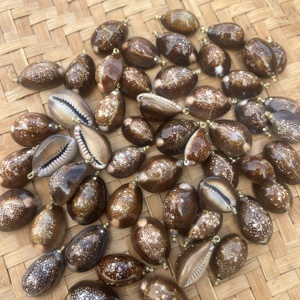 จี้ห้อยเปลือกหอยลายหัวงูสีเทาธรรมชาติขัดเงาจากฮาวาย สำหรับทำเครื่องประดับ DIY - Product Image 6