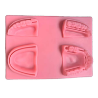 Kit de pratique de suture dentaire, modèle anatomique médical en silicone pour les écoles