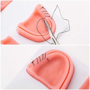 Almohadilla <span class=keywords><strong>de</strong></span> sutura <span class=keywords><strong>de</strong></span> entrenamiento dental OEM, modelo <span class=keywords><strong>de</strong></span> goma personalizable para instituciones médicas - Product Image 4
