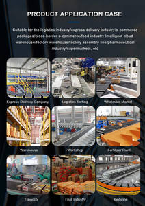 Dimension de pesage dynamique de haute qualité Système de tri DWS Entrepôts intelligents Fabrication Utilisation alimentaire Convoyeur à bande ERP/WMS - Product Image 6