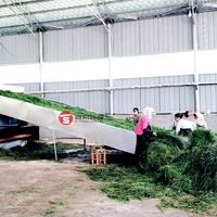 Séchoir à bande à vapeur industriel pour l'herbe fourragère Machine de séchage de feuilles de stévia de grande capacité pour la luzerne