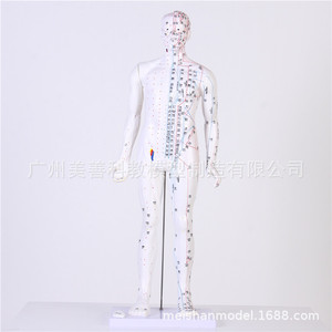 Mannequin anatomique d'acupuncture avec gravures artisanales, modèle de points d'acupuncture humains, 85CM - Product Image 3