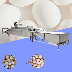 Máquina Automática de Limpieza y Clasificación de Huevos de Gallina, Tipo Cepillo, para Uso en Granjas, a <span class=keywords><strong>Precio</strong></span> Accesible - Product Image 1