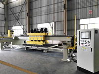 Fabricant de machines Anyth Stone Polisseuse de dalles Machine à polir les pierres marbre multi-12 têtes