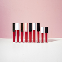 Rouge à lèvres Vegan liquide mat étanche, accessoires de haute qualité