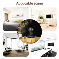 Humidificateur ultrasonique d'aromathérapie de scène d'eau rotative de nuage de pluie avec la lampe d'ambiance