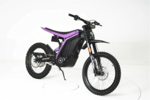 <span class=keywords><strong>Moto</strong></span> tout-terrain électrique LYNX pour adultes, 72V 10KW haute puissance, autonomie de 120 km, IP67, cadre en alliage d'aluminium, >80 km/h - Product Image 3