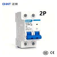Disjoncteur miniature à boîtier moulé (MCCB) Chint NXB-125 DZ158-125H 2P 10A 230V 400V 6kA Courbe C pour courant alternatif (CA) - Vente en gros