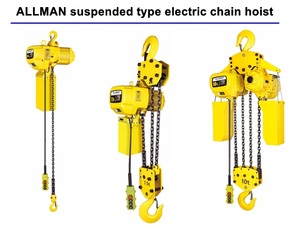 ALLMAN 1000 kg 220 V 380 V 415 V Elektrokettenzug mit Haken zur Aufhängung - Product Image 3