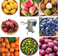 Olijfpitverwijderaar, olijvenknijper, verwijdert de pit van verse olijven en vergruist de pulp, mangopitverwijderaar, pulpverwijderingsmachine