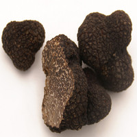 Hoge Kwaliteit Gmp Standaard Polysaccharide Zwarte Truffel Extract Fruit Poeder Food Grade Hplc/Uv Getest Verpakt In Trommel