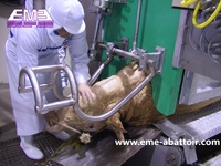 Peralatan Rumah Potong Hewan (RPH) untuk Pemrosesan Daging, Kotak Pembunuhan Sapi Ritual Halal Harga Pabrik EME